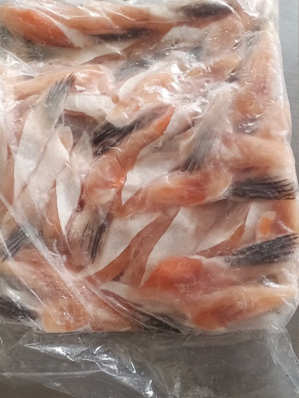 Salmon Fins
